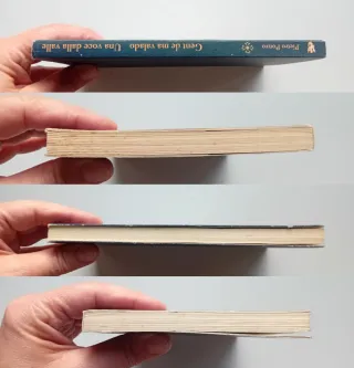 Gent de ma valado/Una voce dalla vall,Pietro Ponzo