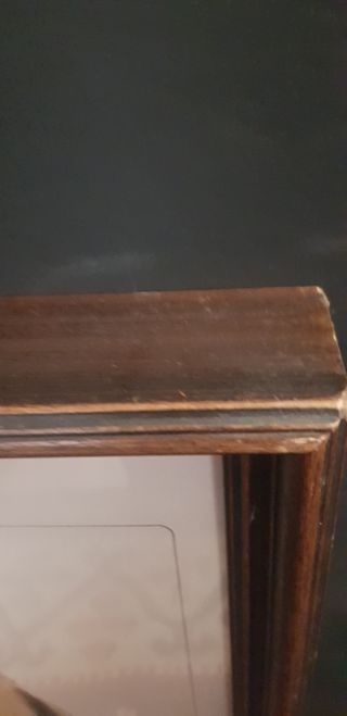 Quadro vintage Setter inglese