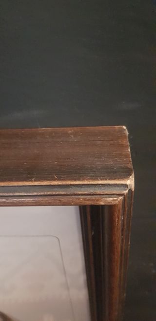 Quadro vintage Setter inglese