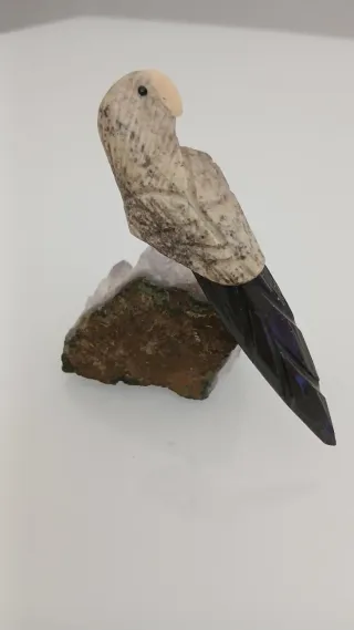 Pappagallo in pietra con base di ametista