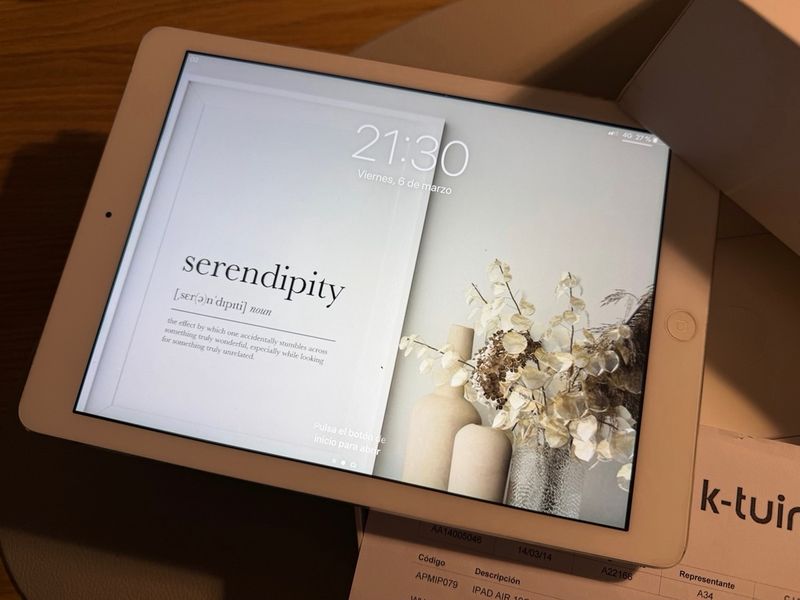 iPad Air 16GB WiFi+Celular Plata afbeelding 2