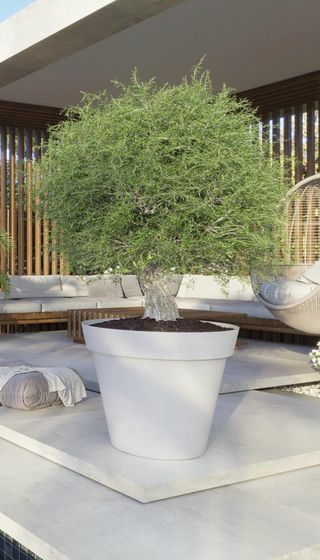 Maceta XXL Polipropileno Blanca 60cm