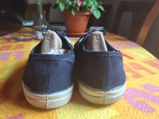 Zapatos de lona azul y blanco