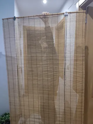 Estor enrollable de bambú