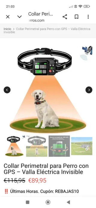 Collar Control Perimetral Perros