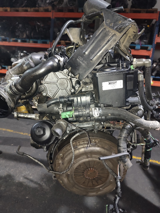 MOTOR COMPLETO FORD FOCUS BERLINA (CAP) Ambiente