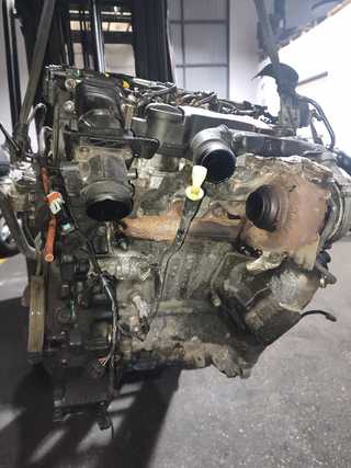 MOTOR COMPLETO FORD FOCUS BERLINA (CAP) Ambiente