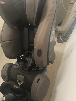 Klippan Century Silla de Coche