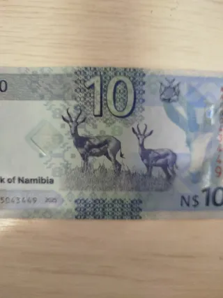Billete 10  Namibia