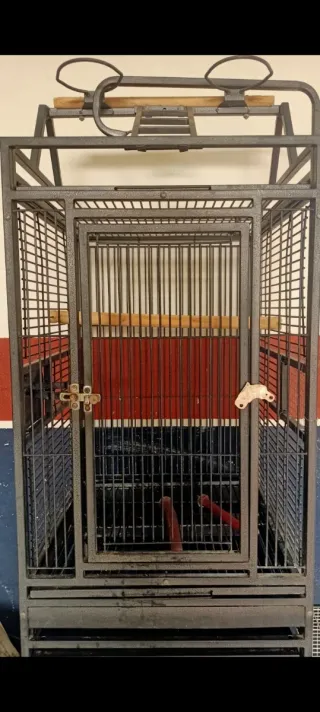 Jaulas para pájaros diferentes tamaños
