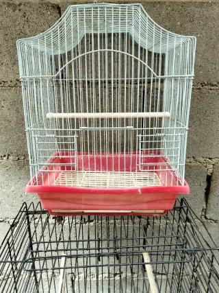 Jaulas para pájaros diferentes tamaños
