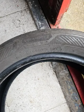 2Neumáticos Goodyear SUV 225/55 R19