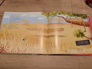 La sinfonia degli animali. Ediz. illustrata