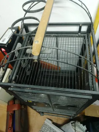 Jaula para loro grande