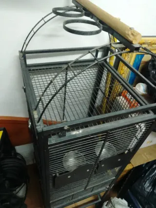 Jaula para loro grande