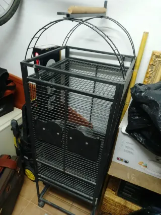 Jaula para loro grande