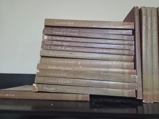 Libros biblioteca básica de salvat