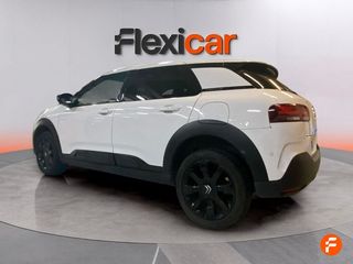 Citroën C4 Cactus PureTech 81KW (110CV) S&S Shine