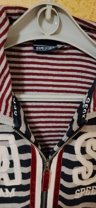 Felpa Geox a righe