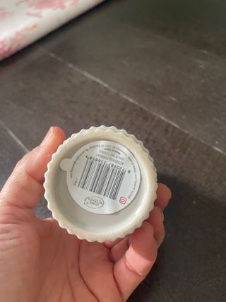 Pianta artificiale in vaso