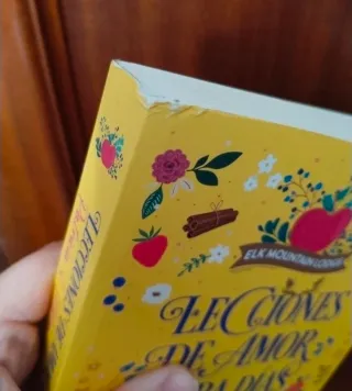 Lecciones de amor para días grises