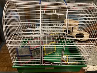 Jaula para hámster, dos plantas. Precio negociable