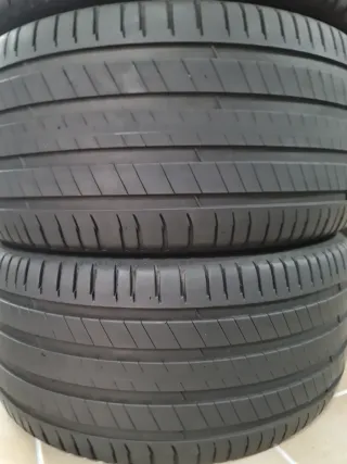 MICHELÍN JUEGO PORSCHE 295 35 21 107Y