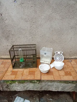 Lote Jaula Jilgueros Accesorios