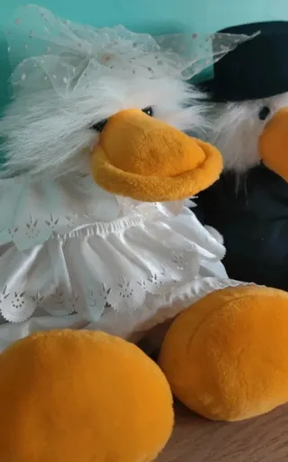 Pareja Nici Pato Paula Cuervo Sam Boda