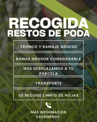Recogida restos de poda y leña