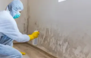 Limpieza moho y pintura.