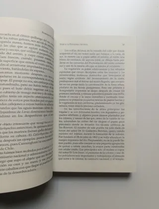 Viaje a la Patagonia austral.