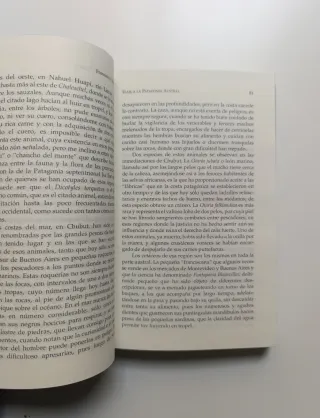 Viaje a la Patagonia austral.