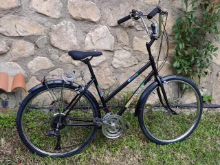 Bicicleta Clasica Confersil Montagna  Restaurada