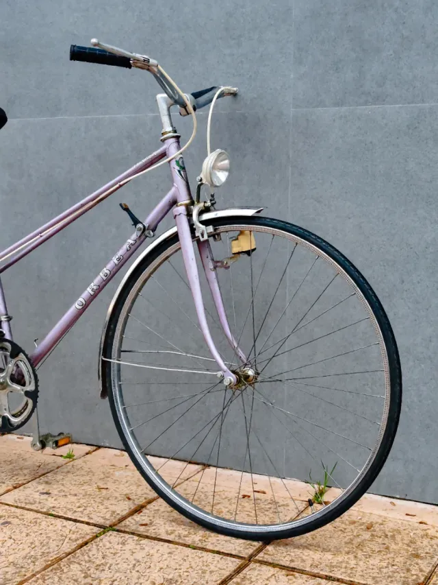 Orbea Luarca Bicicleta Vintage