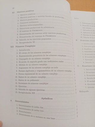 Lecciones elementales de algebra lineal para ec...