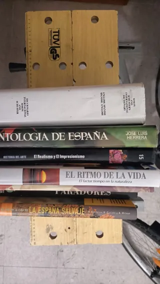Lote de 7 libros: Antología, Arte, Ritmo, España