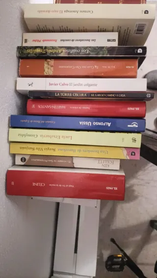 Lote de libros variados