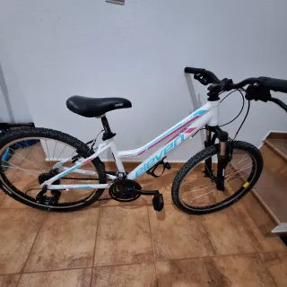 Bicicleta infantil 24 pulgadas