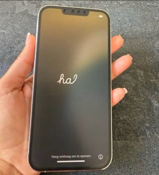 iPhone 13 Pro Blanco Perla