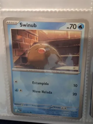 Lote de cartas Pokémon