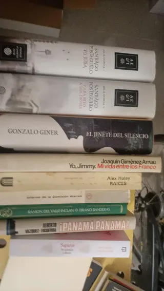 Lote de libros de novela histórica desde 3€