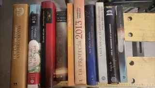 Lote de 11 libros variados desde 3€