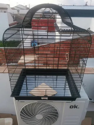 Jaula para ninfas negra