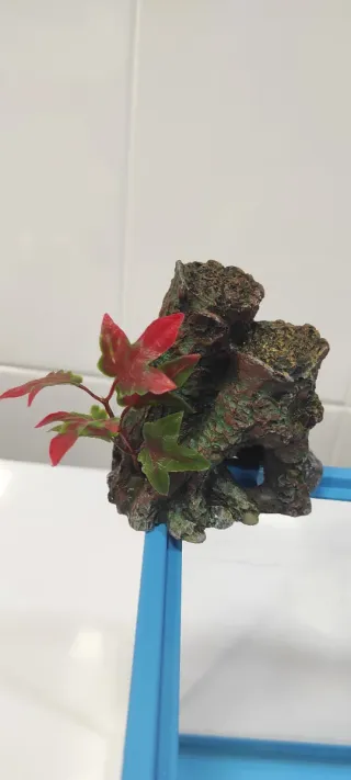 Acuario cristal y plástico azul