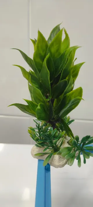 Acuario cristal y plástico azul