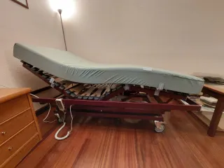 Cama articulada con colchón