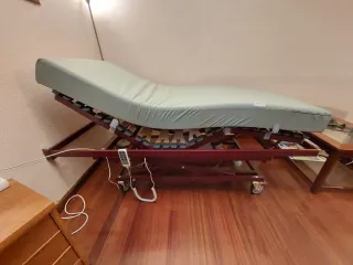 Cama articulada con colchón
