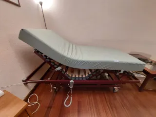 Cama articulada con colchón