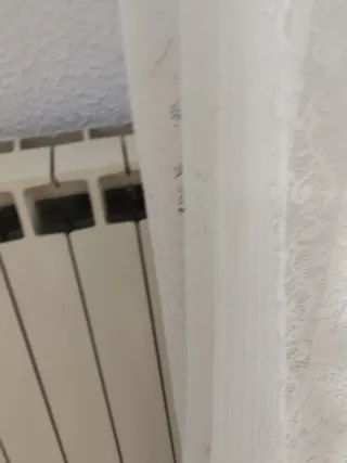 Cortinas de encaje blancas